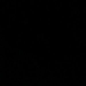 Meet your Posher, Joel